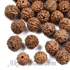 Rudraksha- Rudrakša, karoliukai su skylute, 8~9.5x7~9.5mm