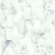 Toho biseris  TB-01-761 3mm  Matte-Color Opaque-Rainbow White